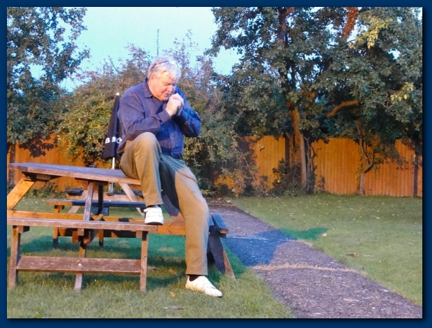 600x449 pixels (159K)